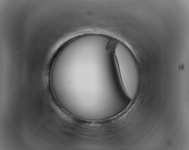 X0000102251503200807250849