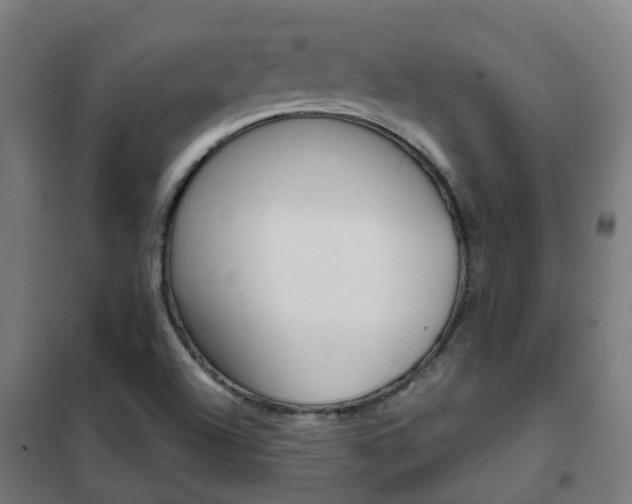 X0000102251504200807250849