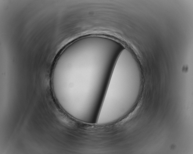 X0000102251505200807250849