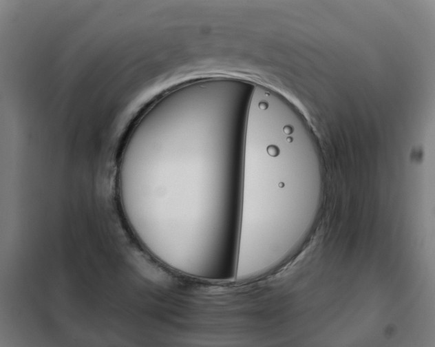 X0000102251507200807250849