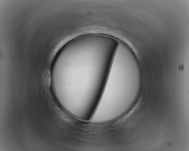 X0000102251509200807250849