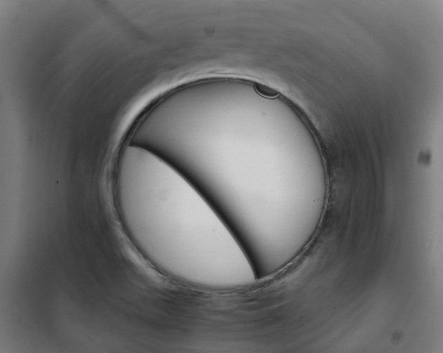 X0000102251511200807250849