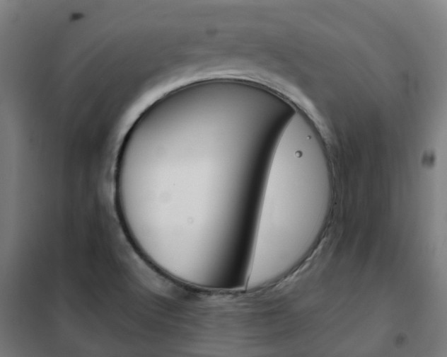 X0000102251512200807250849