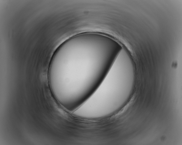 X0000102251513200807250849
