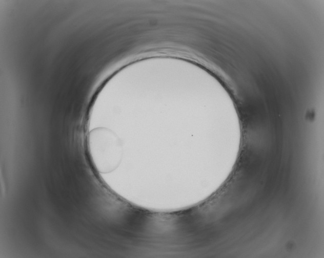 X0000102251514200807250849