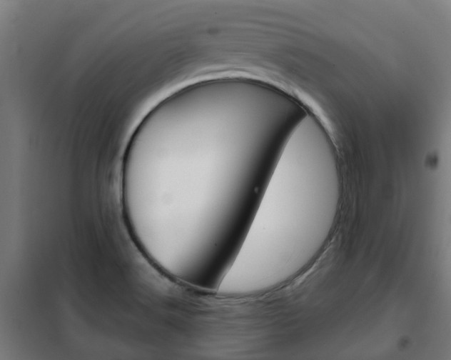 X0000102251516200807250849