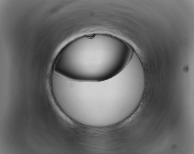 X0000102251518200807250849