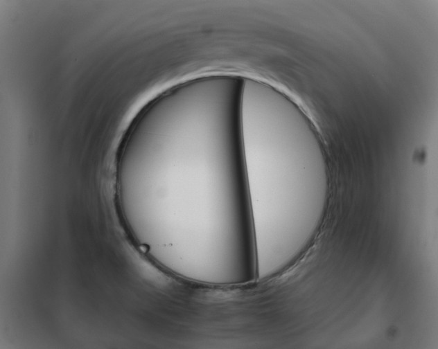 X0000102251519200807250849