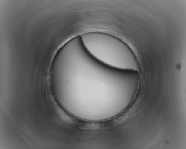 X0000102251521200807250849