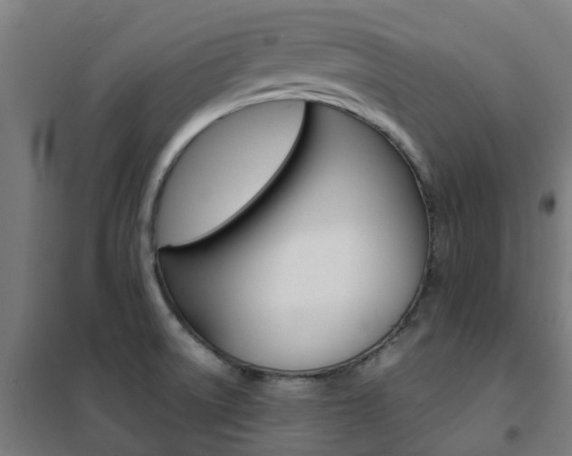 X0000102251522200807250849