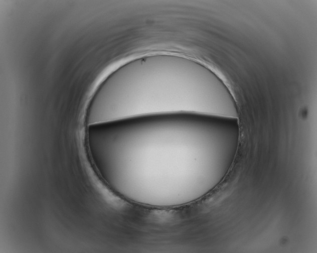X0000102251523200807250849