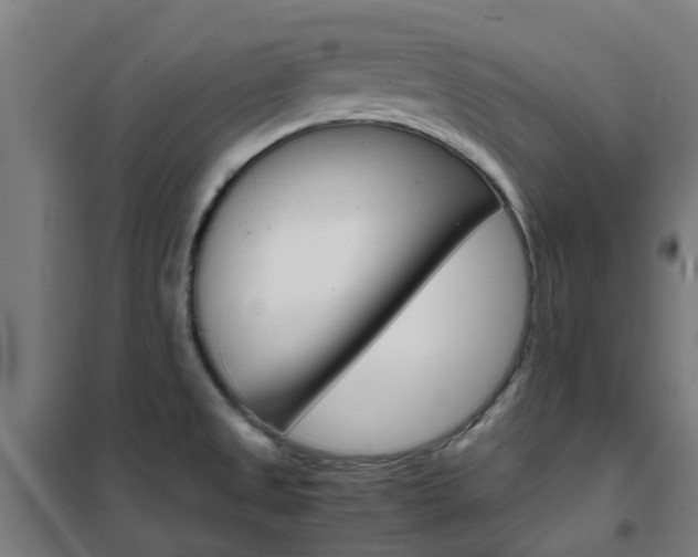 X0000102251525200807250849