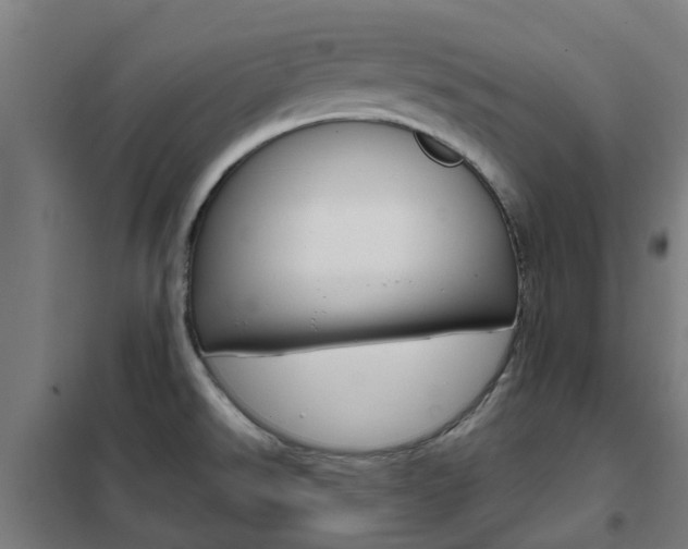 X0000102251526200807250849