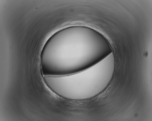X0000102251527200807250849