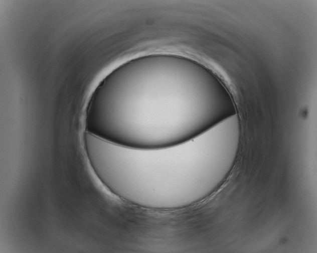 X0000102251528200807250849