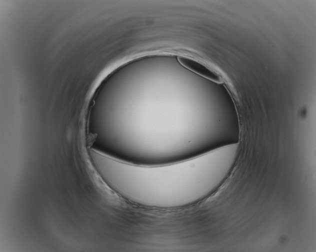 X0000102251530200807250849