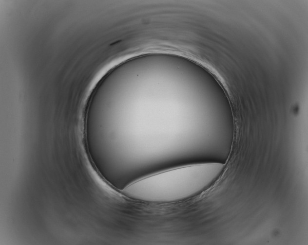 X0000102251531200807250849