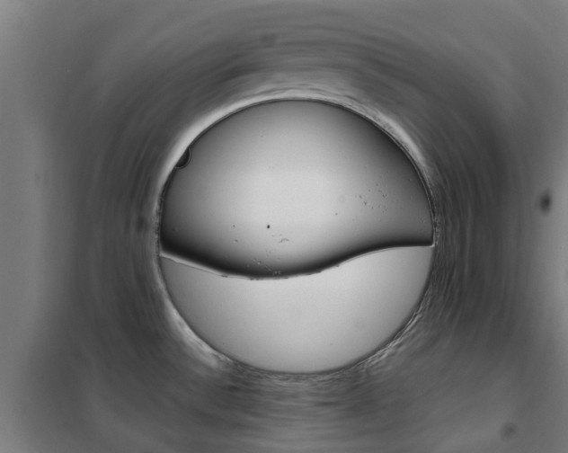 X0000102251532200807250849