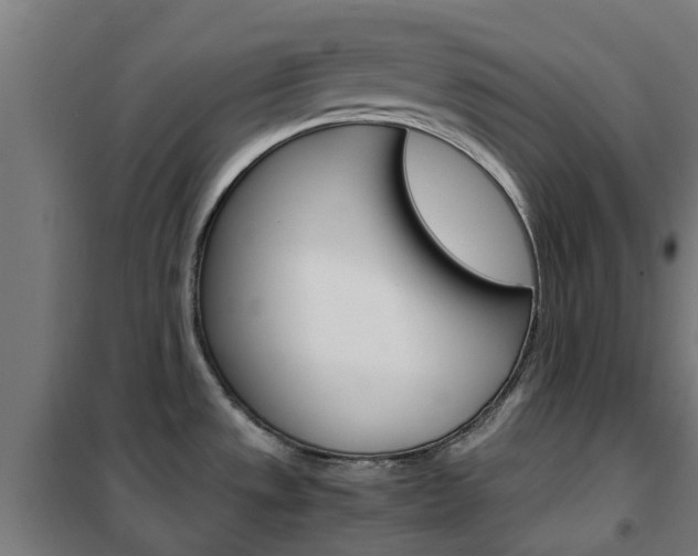 X0000102251533200807250849