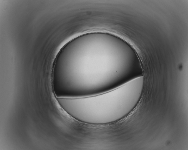 X0000102251534200807250849