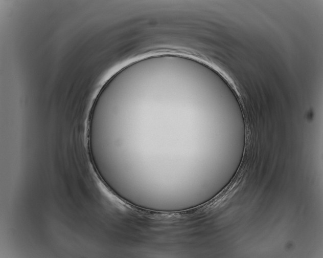 X0000102251535200807250849