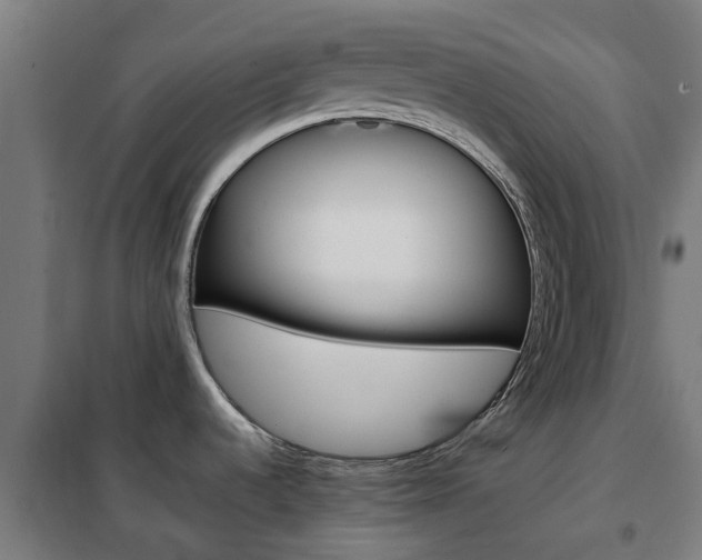 X0000102251536200807250849