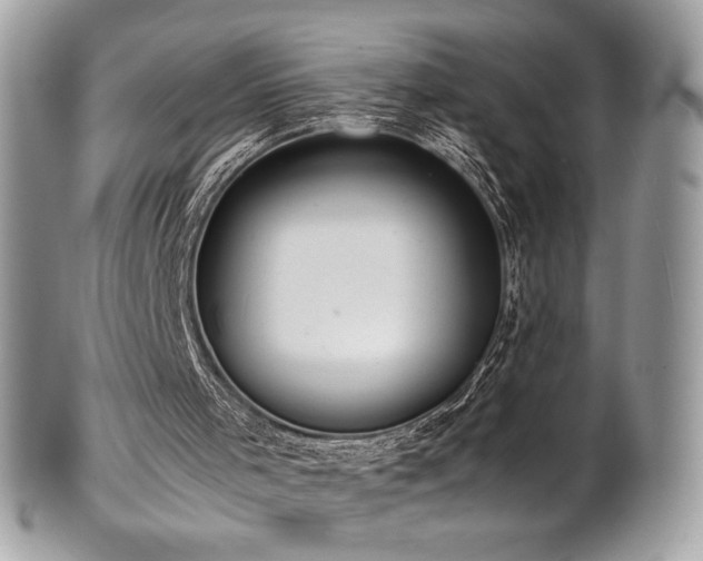 X0000102250001200807251333