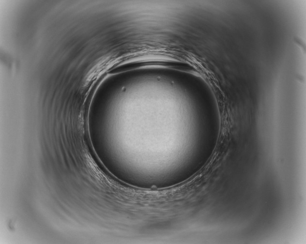 X0000102250002200807251333