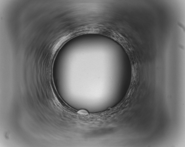 X0000102250003200807251333