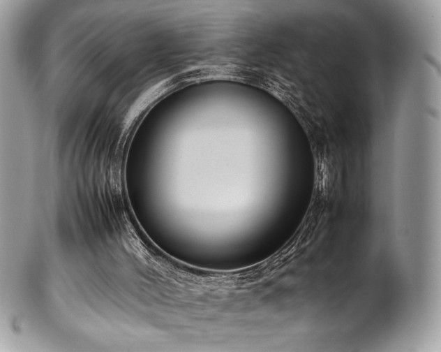 X0000102250004200807251333