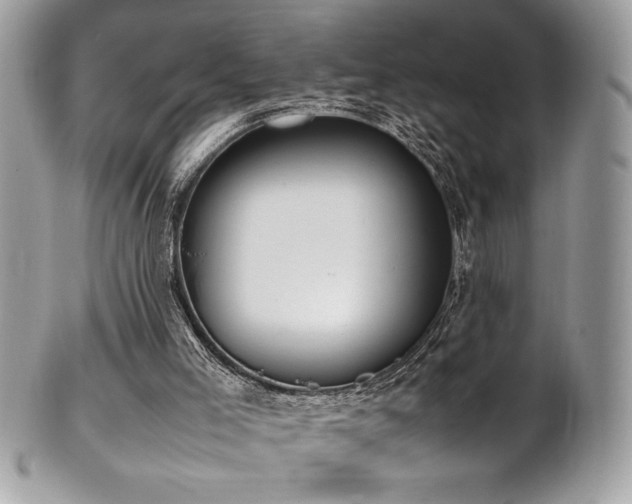 X0000102250005200807251333