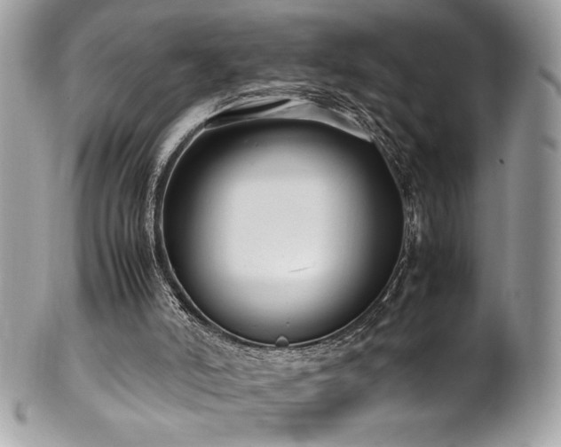 X0000102250006200807251333