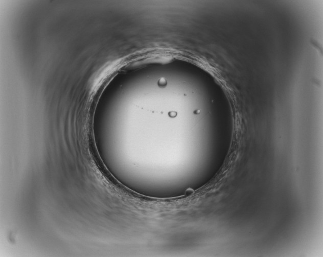 X0000102250007200807251333