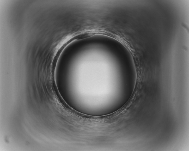 X0000102250008200807251333