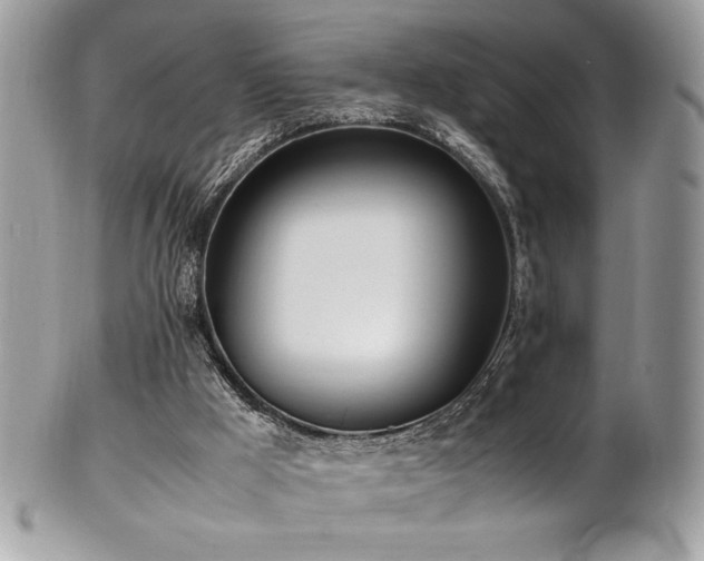 X0000102250009200807251333