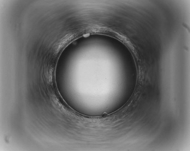 X0000102250010200807251332