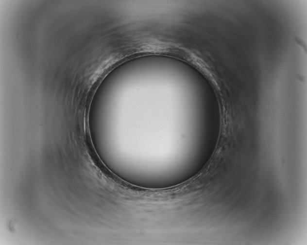 X0000102250011200807251332