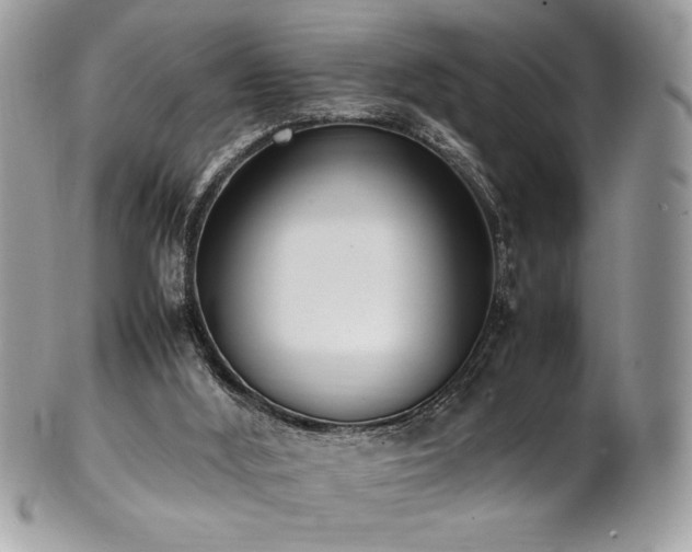 X0000102250012200807251332