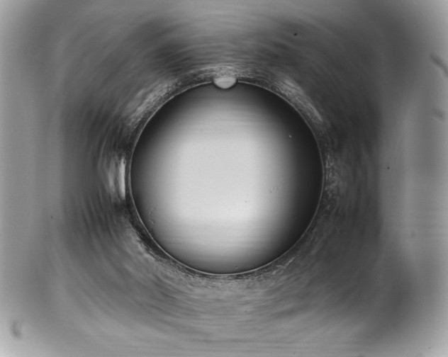 X0000102250014200807251332