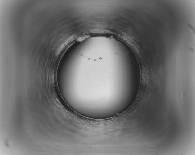 X0000102250015200807251332