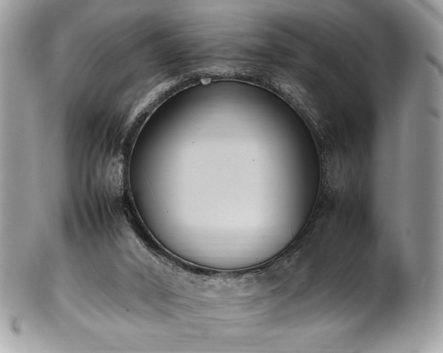 X0000102250016200807251332