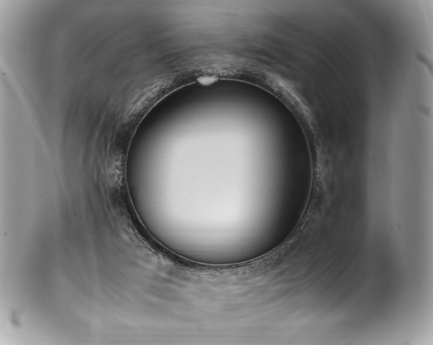 X0000102250017200807251332