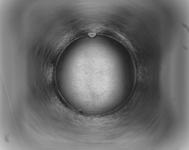 X0000102250018200807251332