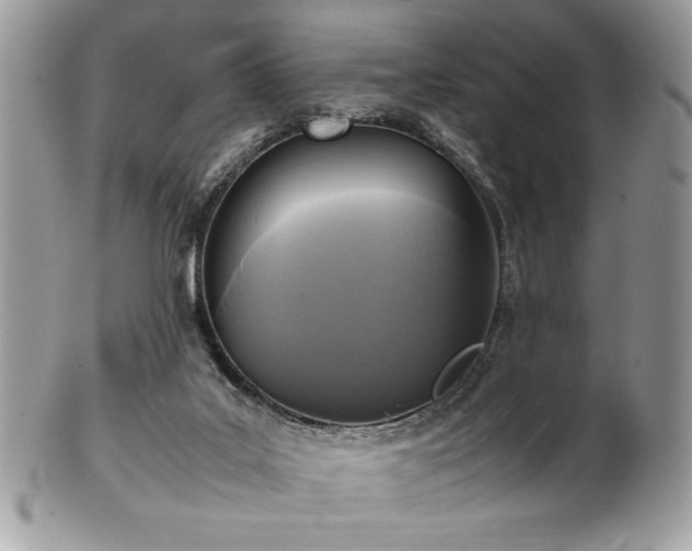 X0000102250019200807251332