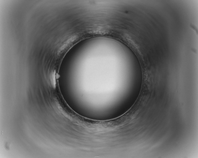 X0000102250020200807251332