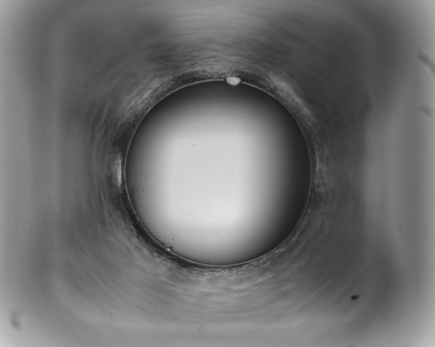 X0000102250021200807251332