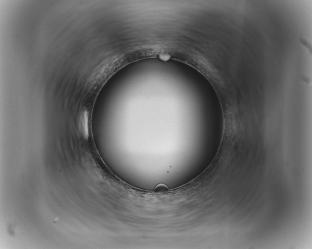 X0000102250022200807251332