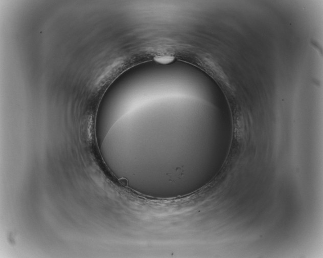 X0000102250023200807251332