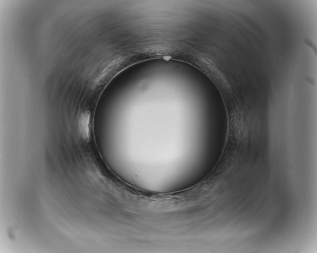 X0000102250024200807251332