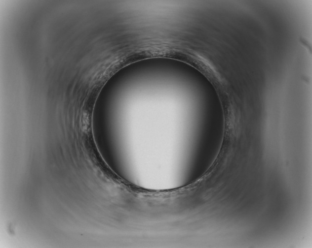 X0000102250025200807251332